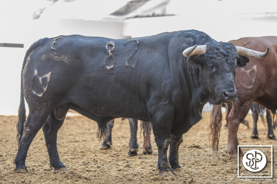 Viernes, 17 de marzo. Toros de Núñez del Cuvillo para la Feria de Fallas 2017.