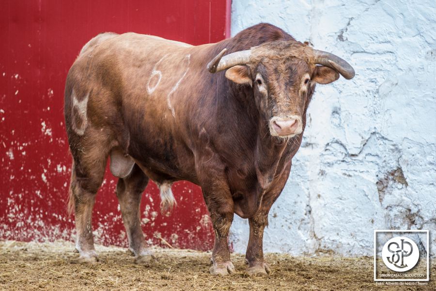 Viernes, 17 de marzo. Toros de Núñez del Cuvillo para la Feria de Fallas 2017.