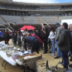 Juegos, talleres, gastronomía, visitas... la parte lúdica del Congreso