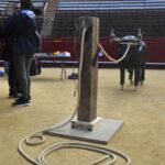 Juegos, talleres, gastronomía, visitas... la parte lúdica del Congreso