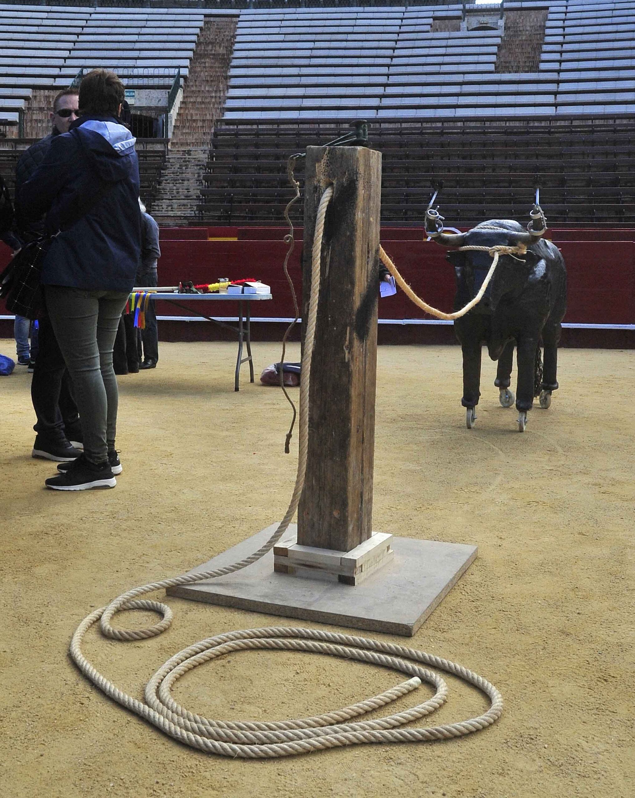 Juegos, talleres, gastronomía, visitas... la parte lúdica del Congreso