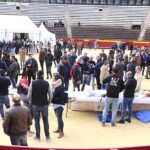 Juegos, talleres, gastronomía, visitas... la parte lúdica del Congreso