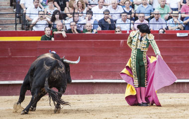 “Quiero ser profeta en mi tierra”