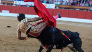 Momento de la cogida a Roca Rey en Andújar hace quince días.