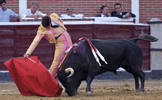 “He apostado para ganar”