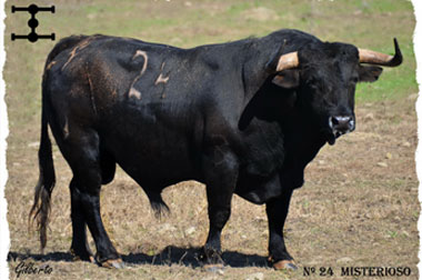 Mentirosos, Embusteros, Militares..., familias de los cuadris para Madrid