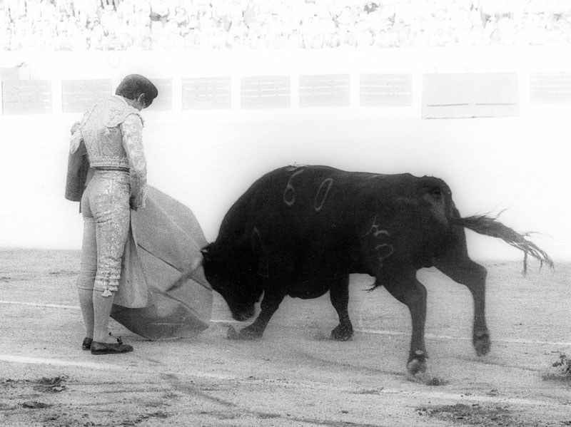 FIGURAS INTERNACIONALES