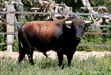 Personalidad con historia