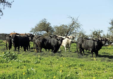 De La Marquesa a Los Recitales