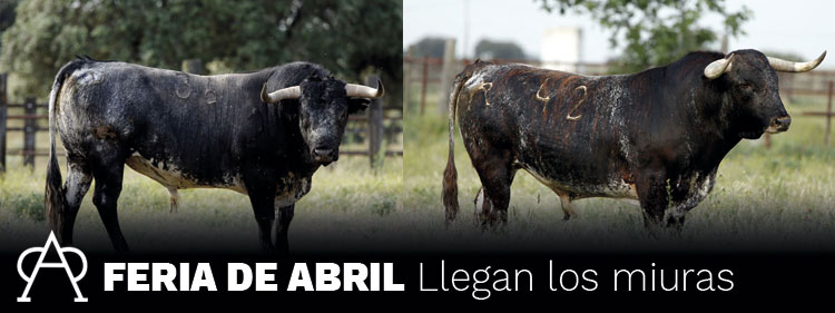 Feria de Abril de Sevilla: Llegan los miuras