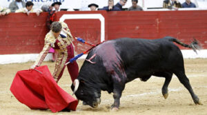 Adrien Salenc, en Aire sur l´Adour.