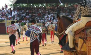 Plaza de toros de Parentis en Born