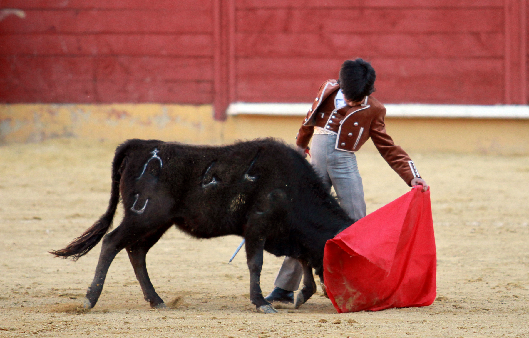 Triunfo de la solidaridad y el futuro en el festival benéfico
