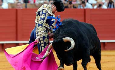 Los veterinarios de la Maestranza eligen a Ilusión