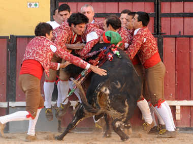 Los forcados de Vila Franca triunfan en la Corrida Concurso