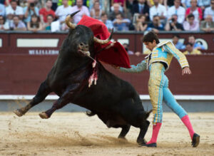Monumental pase de pecho de Castella y monumental toro, ¡vaya puntas!