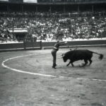 En el primer novillo Antonio Bienvenida invitó a poner un par a “Magritas” que se despedía de la afición bilbaína, era el año 1950