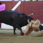 Secuencia fotográfica de la cornada mortal a Iván Fandiño