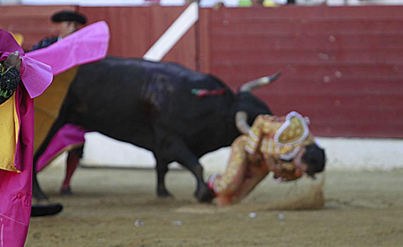 Secuencia fotográfica de la cornada mortal a Iván Fandiño