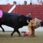Secuencia fotográfica de la cornada mortal a Iván Fandiño