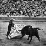 1954: César Girón, a la verónica