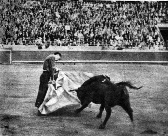 1954: César Girón, a la verónica