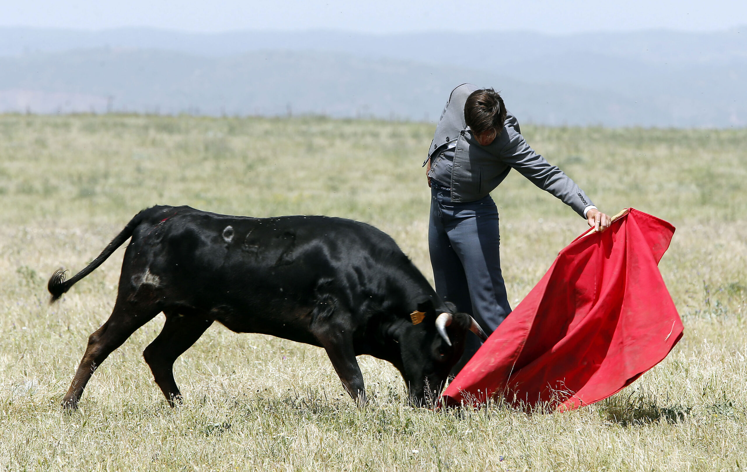 Dávila, más Miura que nunca