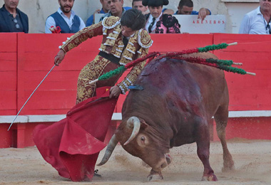 El indulto, en imágenes