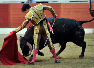 Del Álamo, con el toro que cogió a Fandiño.