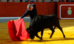 Manili, durante un tentadero en Villaseca de la sagra.
