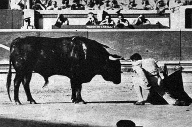 Paquirri, medio siglo de su debut