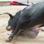 Tremenda voltereta de Román en Pamplona