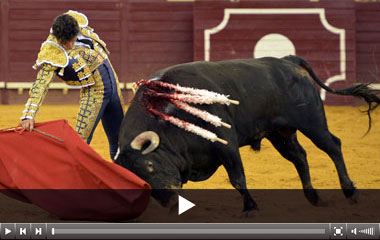 Maciza faena de Juan del Álamo en Campo Pequeno