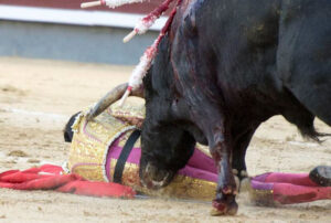 Cogida de Venegas en la Feria de San Isidro 2017