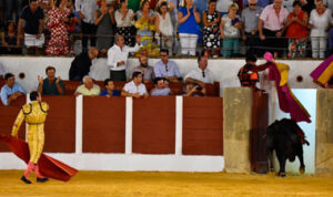 Momento en el que el toro de Julio de la Puerta es indultado por El Fandi en Antequera