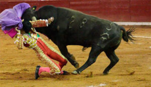 Instante de la cogida de Sergio Flores al recibir al toro a porta gayola