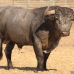 Hostelero Nº 96 • G 2013