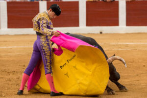 David Fernández, a la verónica.
