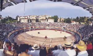 Plaza de toros de Istres