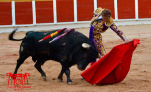 Román toreando en redondo esta tarde en Guadalajara