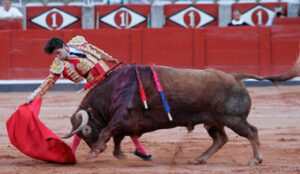 Del Álamo e Ingrato, en Salamanca.