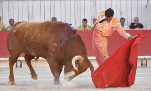 Fandiño, en su última actuación en Arles.