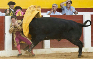 Momento de la cogida sufrida por el novillero galo el pasado 6 de septiembre en Calasparra.