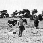 Victorino Martín Andrés. Los hitos.