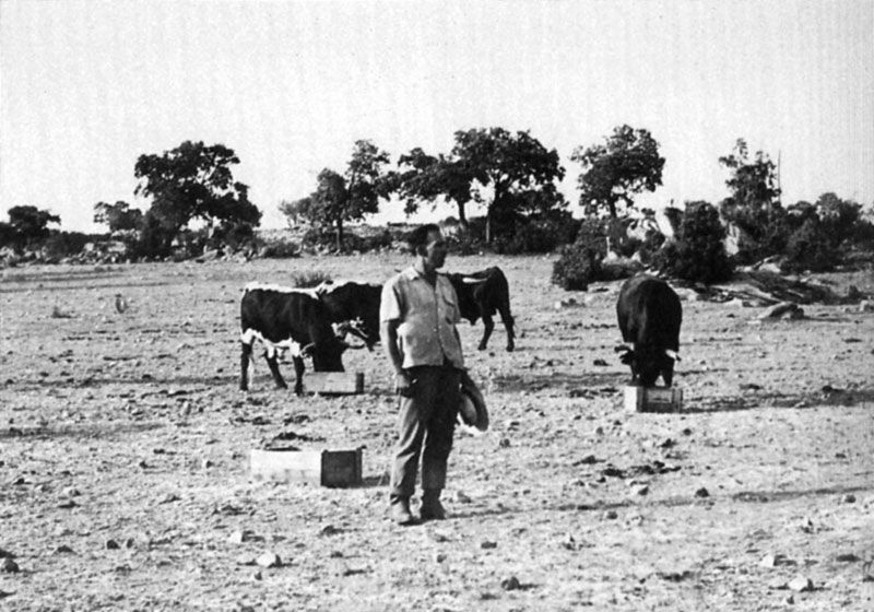 Victorino Martín Andrés. Los hitos.