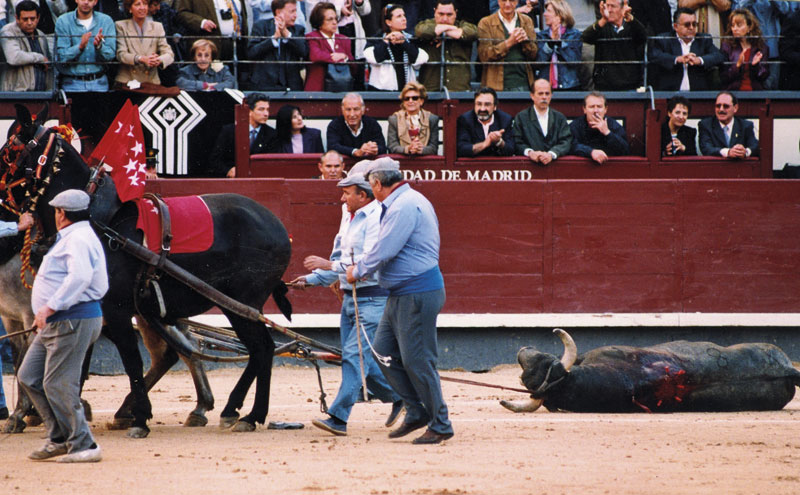 Victorino Martín Andrés. Los hitos.