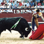 Victorino Martín Andrés. Los hitos.