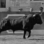 Victorino Martín Andrés. Los hitos.