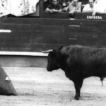 Victorino Martín Andrés. Los hitos.