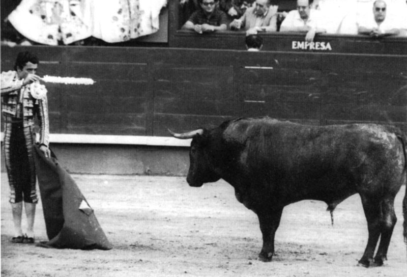 Victorino Martín Andrés. Los hitos.